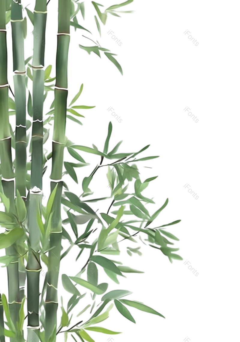 叶子图片,复古元素,元素PNG,户外免抠素材